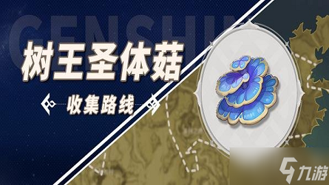 原神树王圣体菇采集位置 原神树王圣体菇采集路线大全