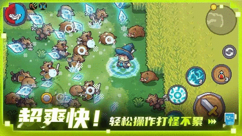 元气骑士前传服务器中断链接怎么办 隐私配置解析错误/中断