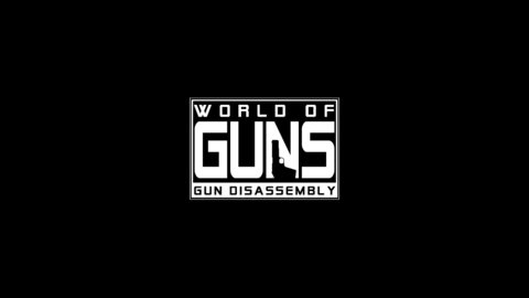 枪炮世界(World of Guns)汉化版