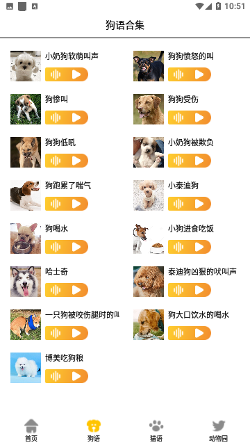 猫狗语翻译交流器免费版
