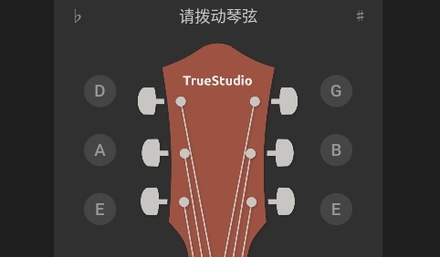 Guitar Tuner吉他调音大师app