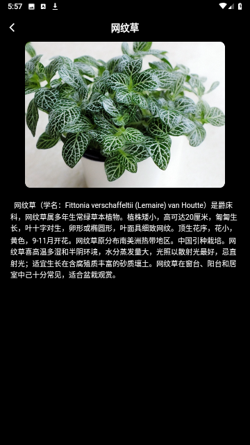 网纹草官方手机版