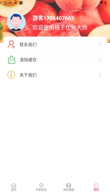 桃子优化大师最新版