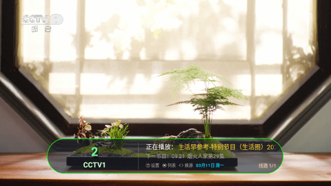 小荷电视2024最新版