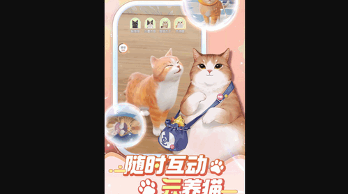 超喵星计划怎么获得布偶猫 超喵星计划获得布偶猫的方法