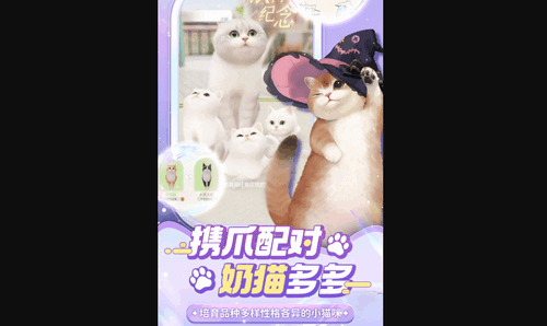 超喵星计划怎么合成缅因猫 超喵星计划合成缅因猫的攻略