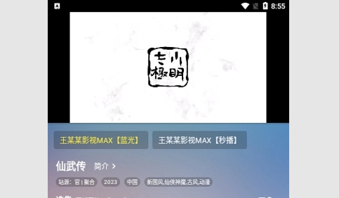 王某某影视MAX手机版