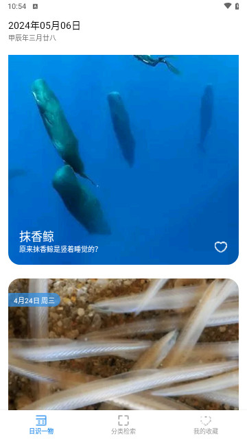 鱼塘笔记免费版