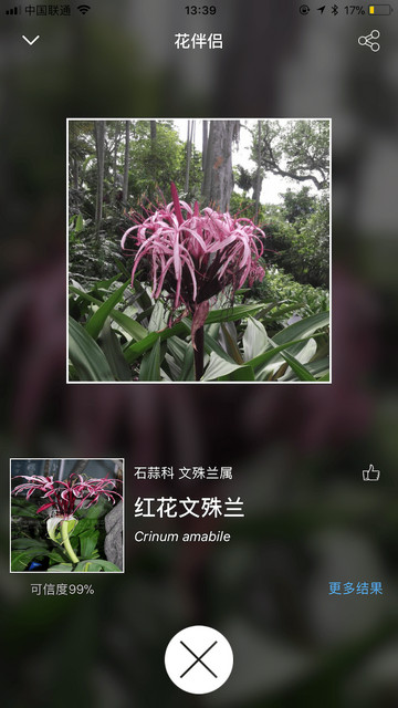 花伴侣植物识别软件手机版