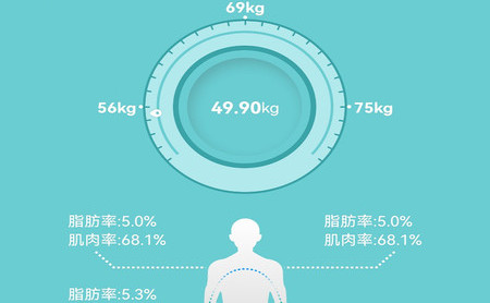 轻巧体脂秤app最新版