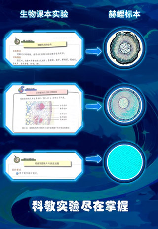 赫鲤最新版