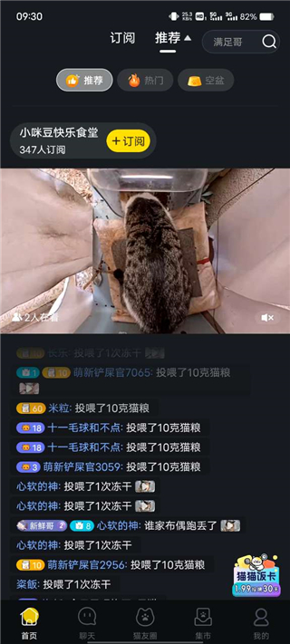 哈啰街猫官方版