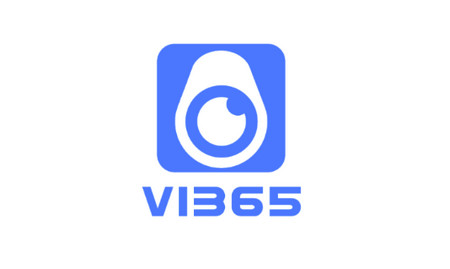 VI365监控软件