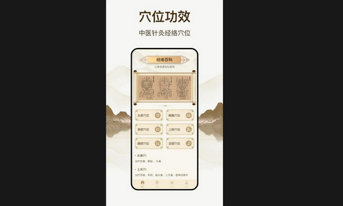 经络穴位图鉴最新版