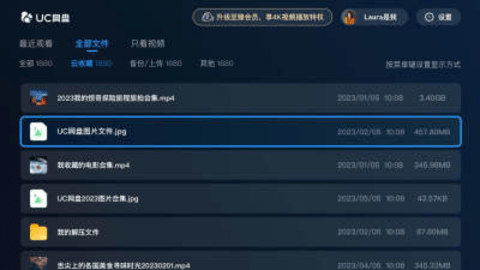 UC网盘电视版