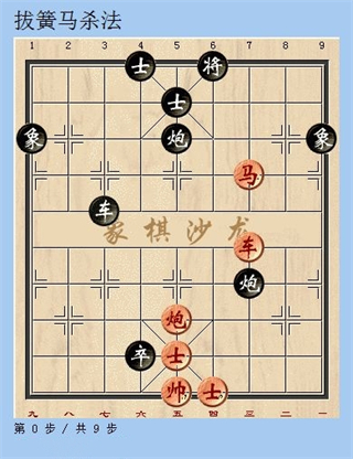 天天象棋游戏2025最新手机版