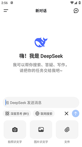 DeepSeek谷歌版