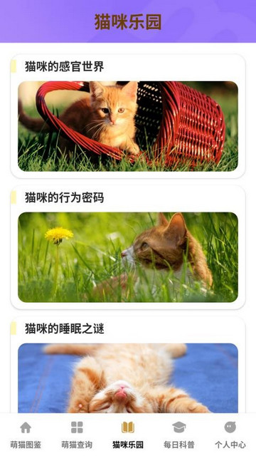 家有萌猫app