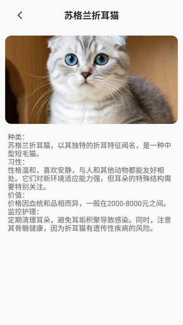 家有萌猫app