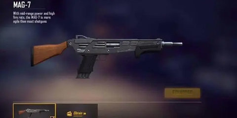 Free Fire MAX2025最新版