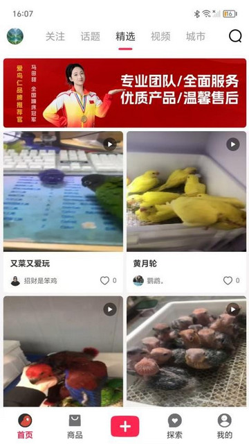 爱鸟仁app