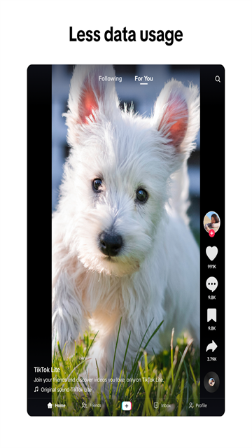 TikTok Lite清爽版