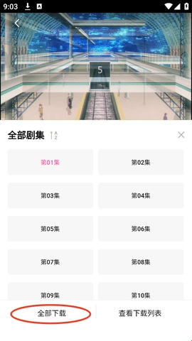 鸭梨鸭梨无广告动漫app下载