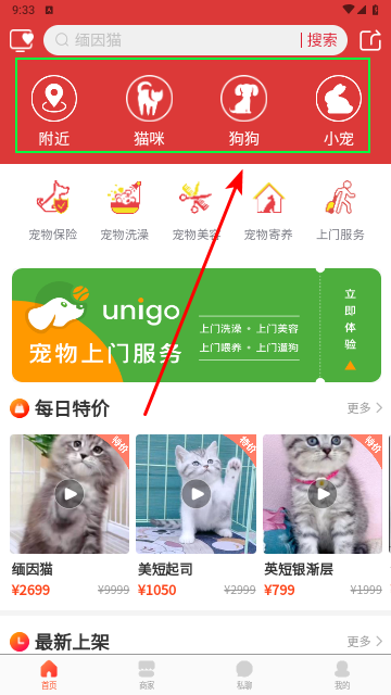 宠物市场2025最新版