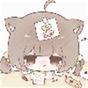 County防闪器最新版