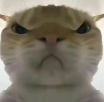 三角洲鼠鼠工具密码老飞宇