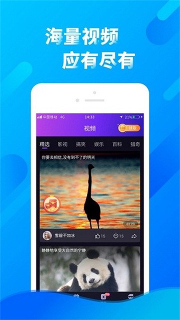 chuniaoduanshipin (3)