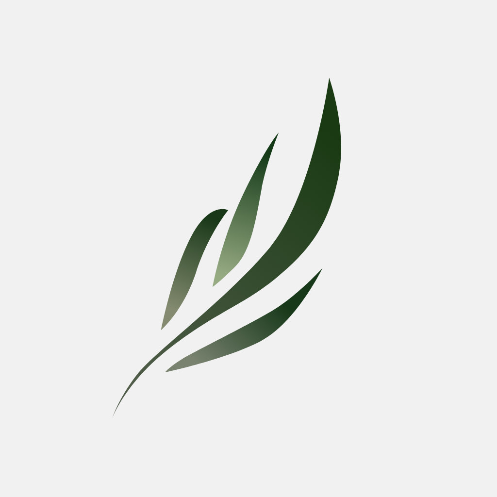 东南小说app无广告版