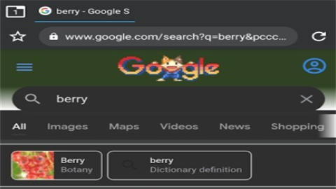 Berry浏览器最新中文版