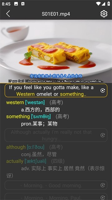 单词播放器官网免费版