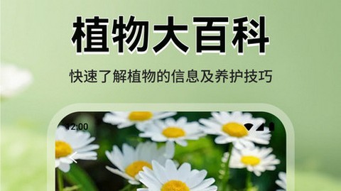 猫满花语app最新版