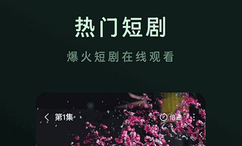 木叶短剧2026最新版本