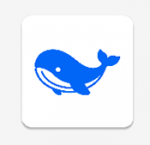 蓝鲸视频app官方正版