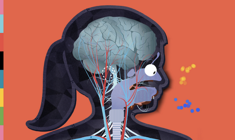 人体探秘官方版