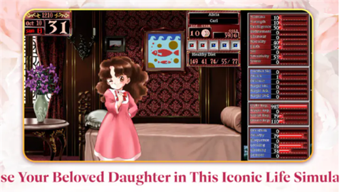 美少女梦工厂2琦丽版