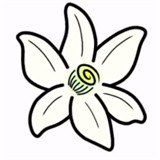 橙花模拟器手机版