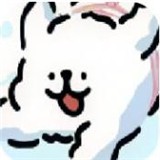 小白大战小鸡毛最新版