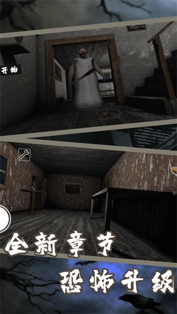 超雄恐怖奶奶 (2)