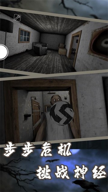 超雄恐怖奶奶 (3)