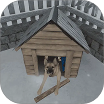 逃离解谜的家官方版