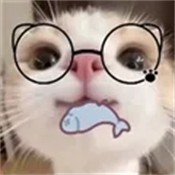 主题仓Pro安卓仿IOS软件