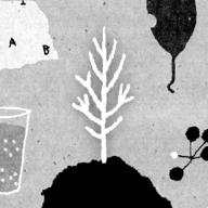 她的树谜题梦安卓版