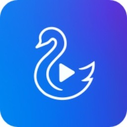 天鹅视频最新版2026