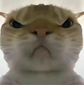 三角洲寻宝鼠辅助器(免费)