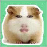 猪妞语音盒app官方版