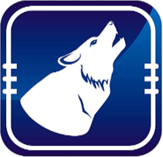 猎狼影视正式版